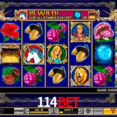 Responsive Design 114bet